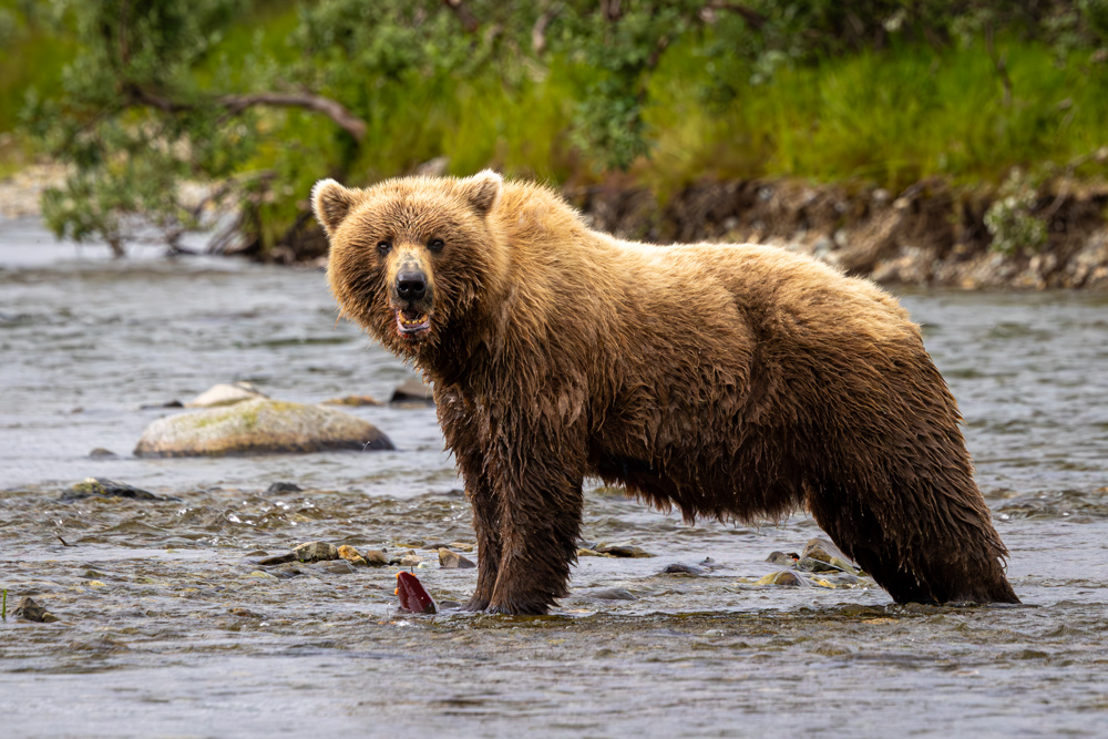 alaska2025