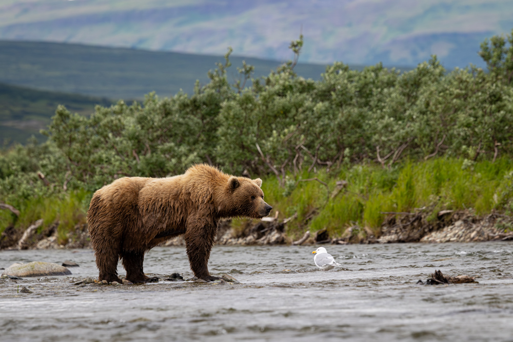 alaska2025