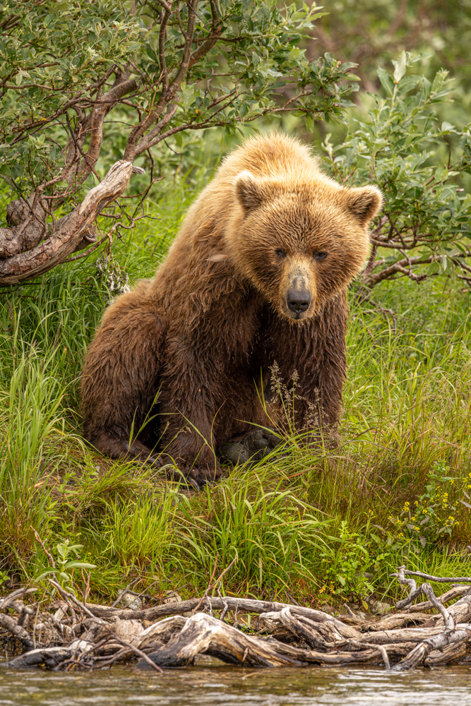 alaska2025