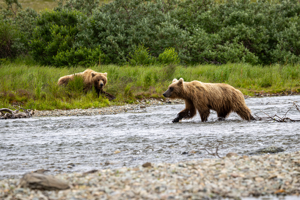 alaska2025