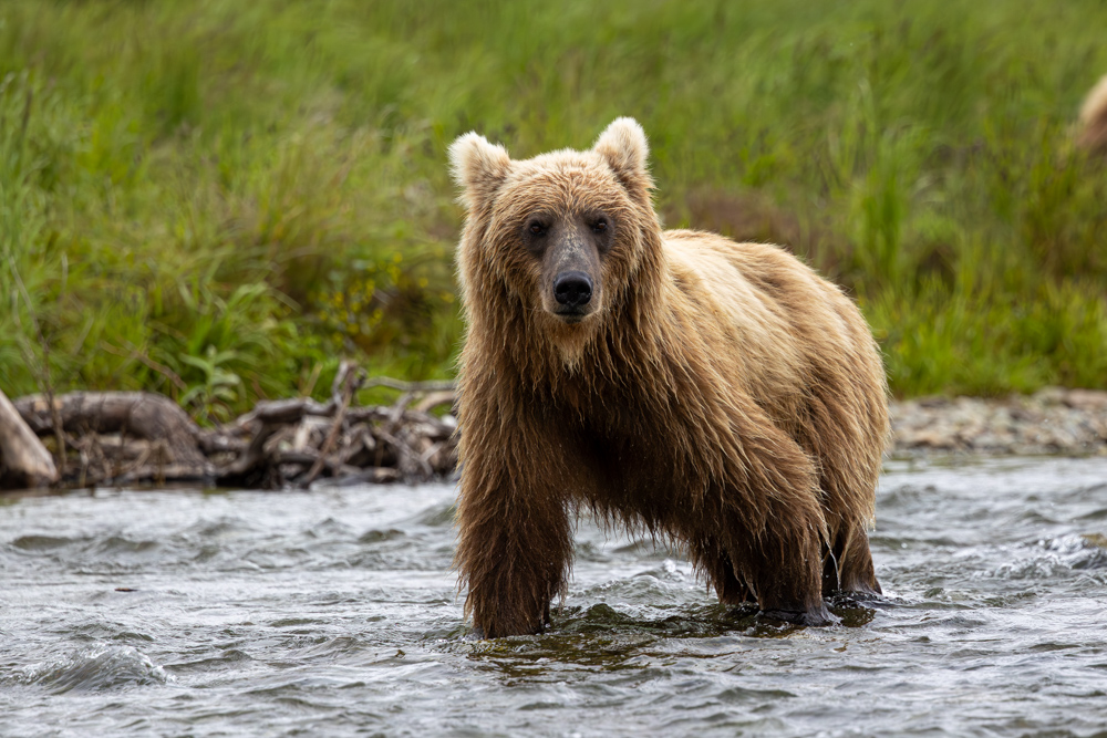 alaska2025