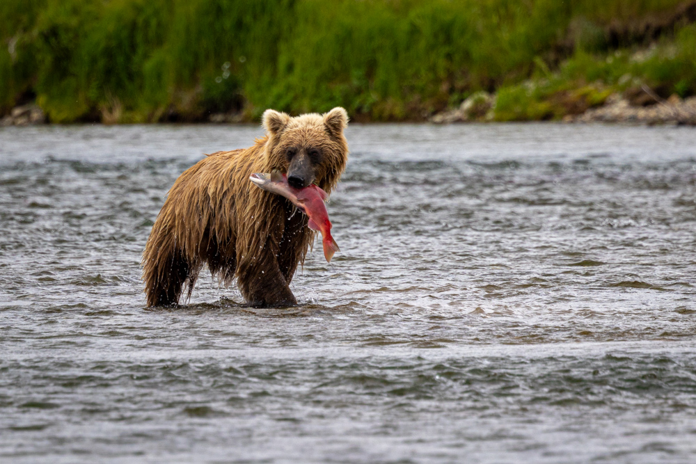 alaska2025