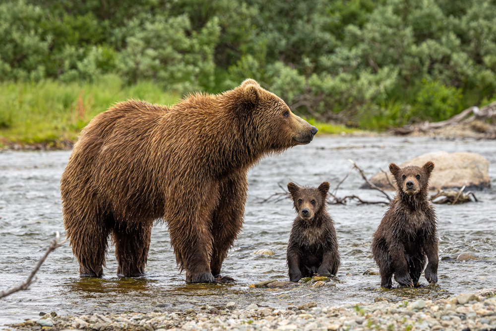 alaska2025