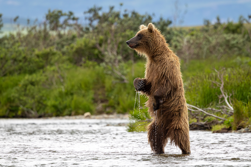alaska2025