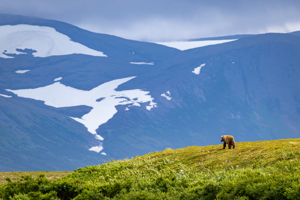 alaska2025