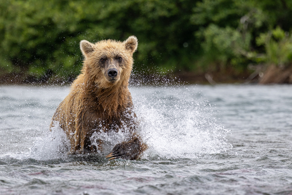 alaska2025