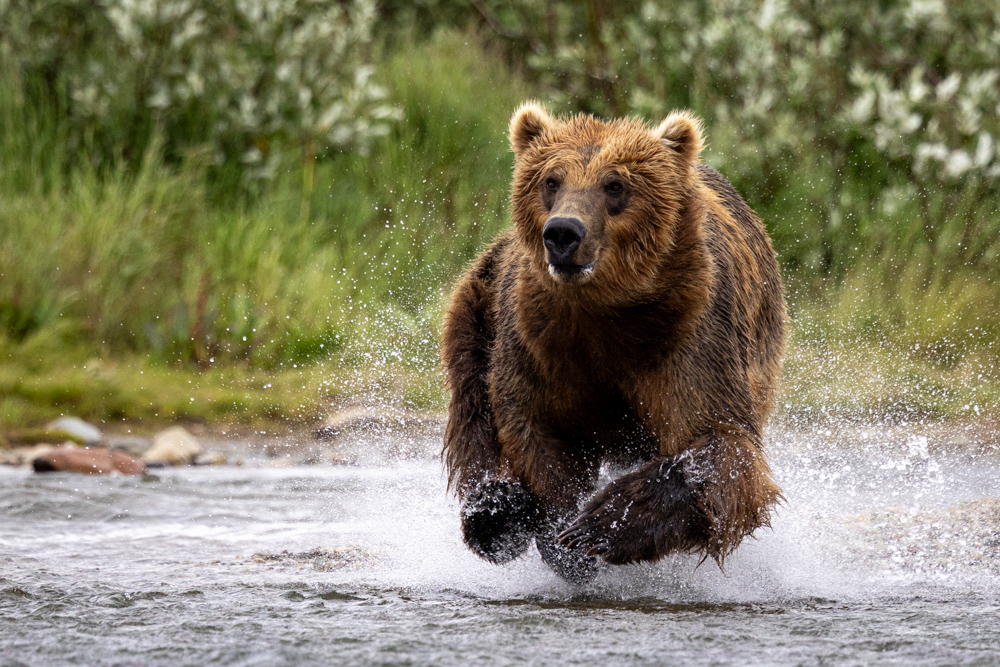 alaska2025