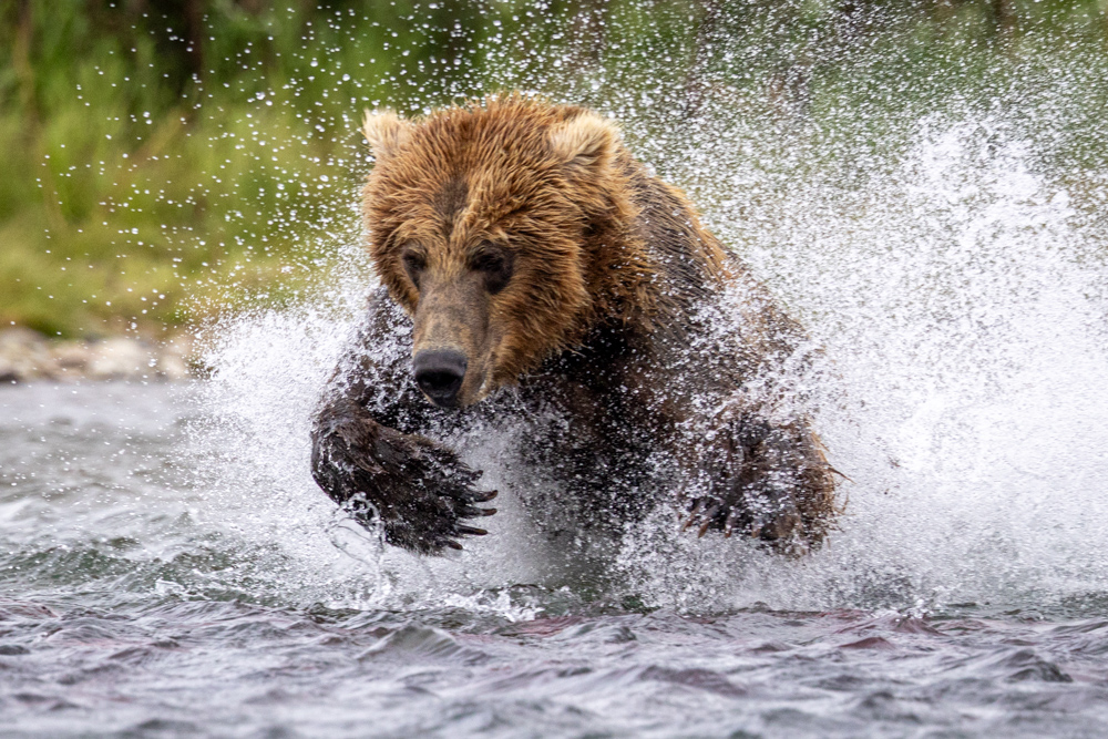 alaska2025