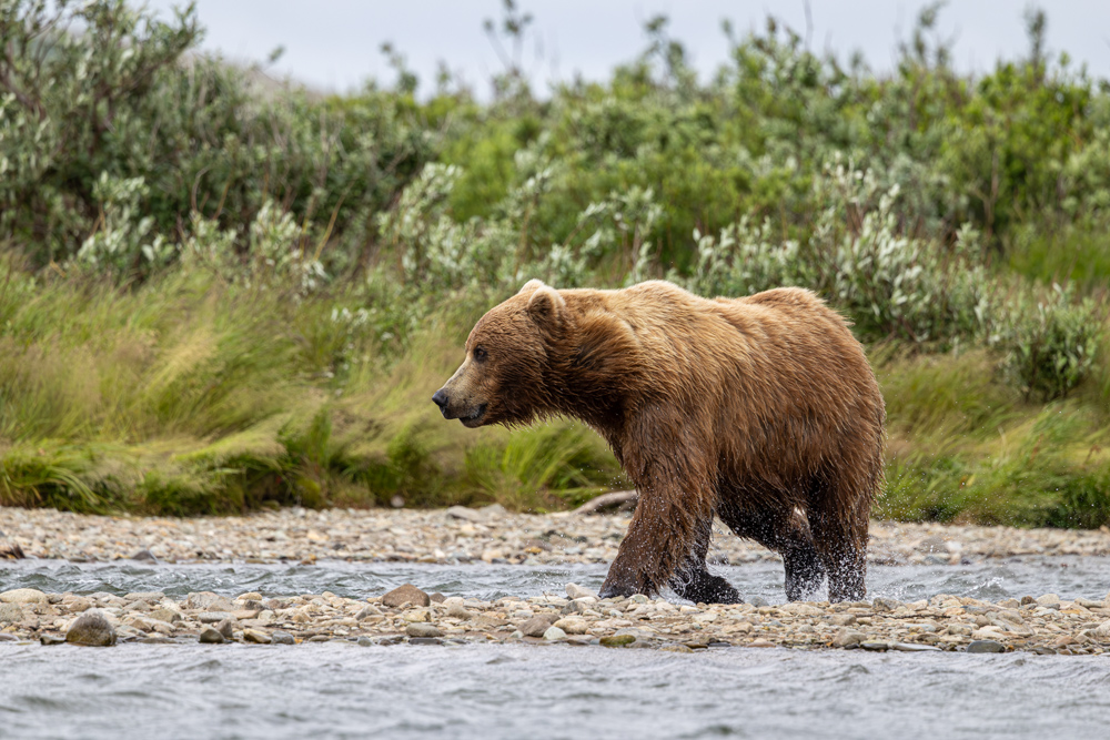 alaska2025