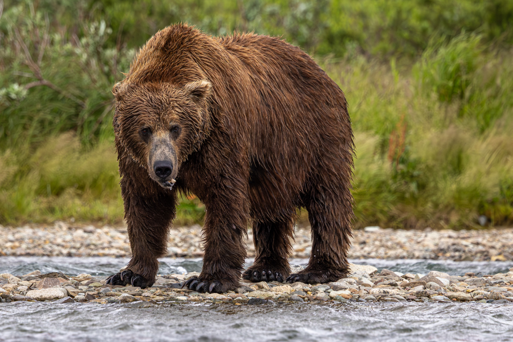 alaska2025
