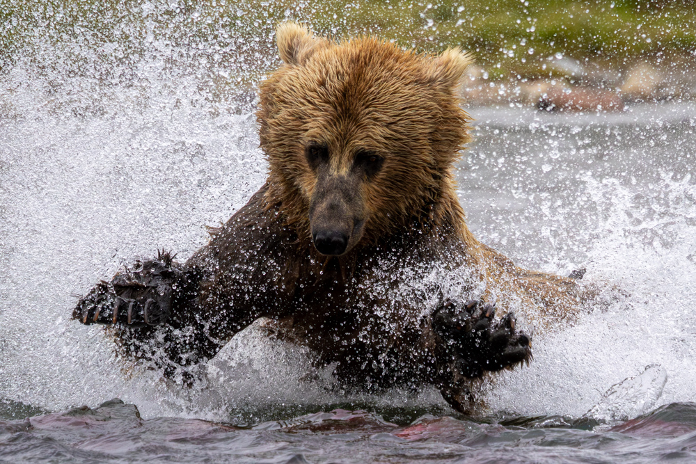 alaska2025