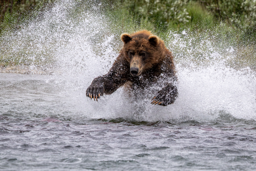 alaska2025