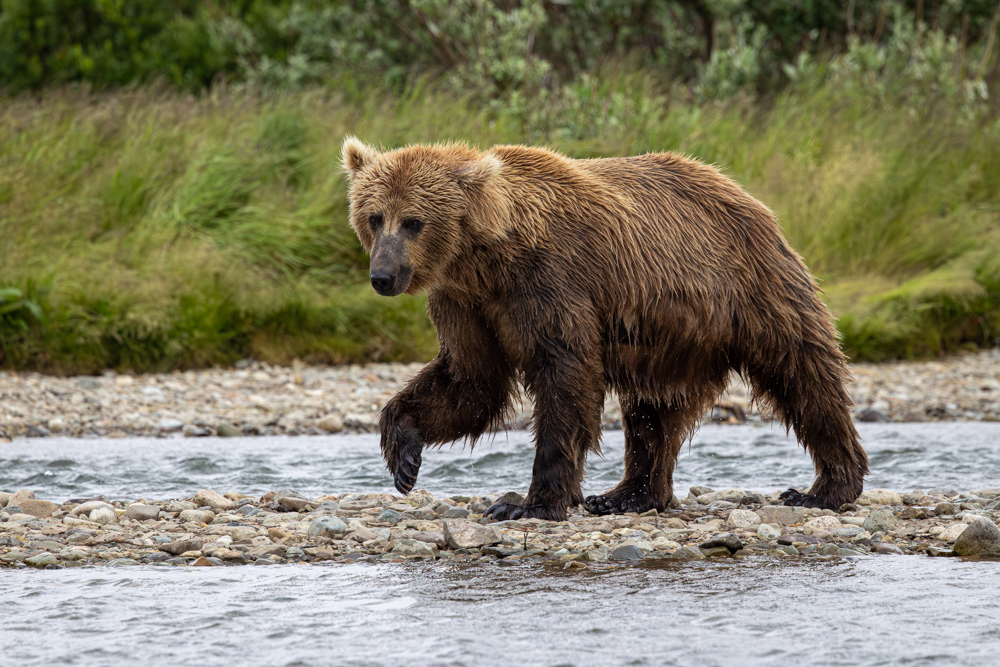 alaska2025
