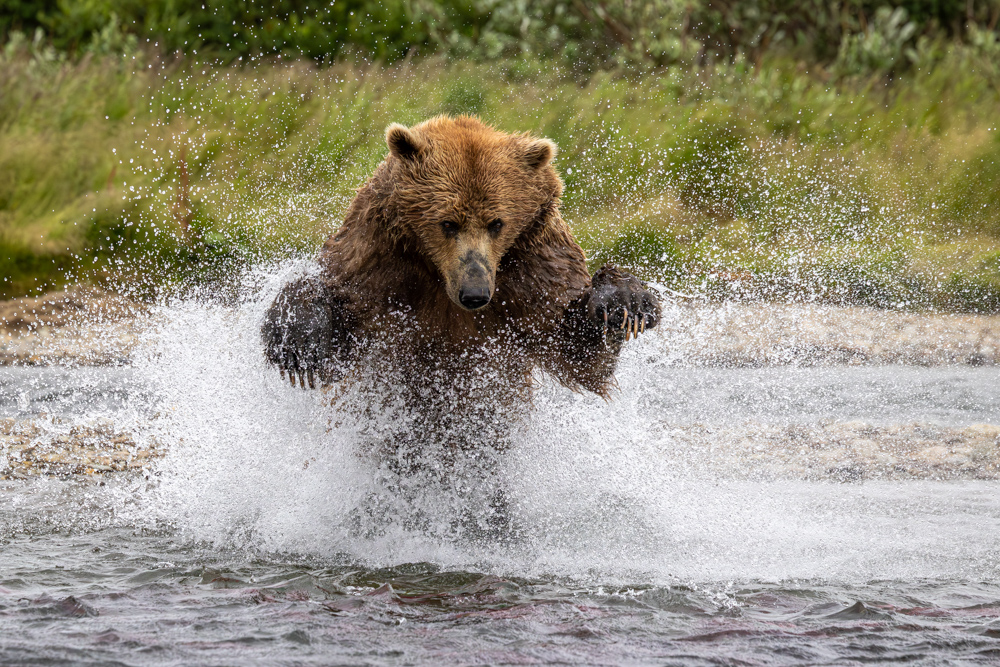 alaska2025