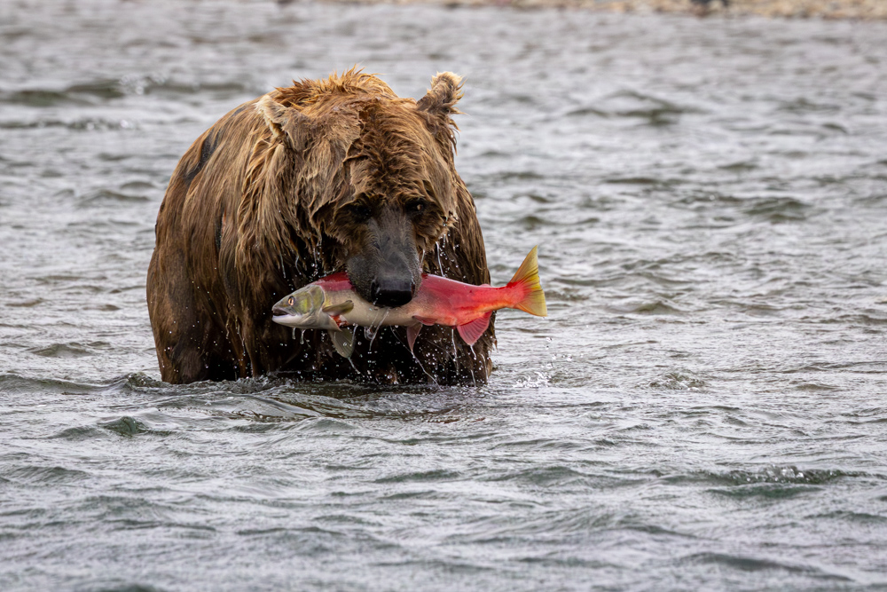 alaska2025