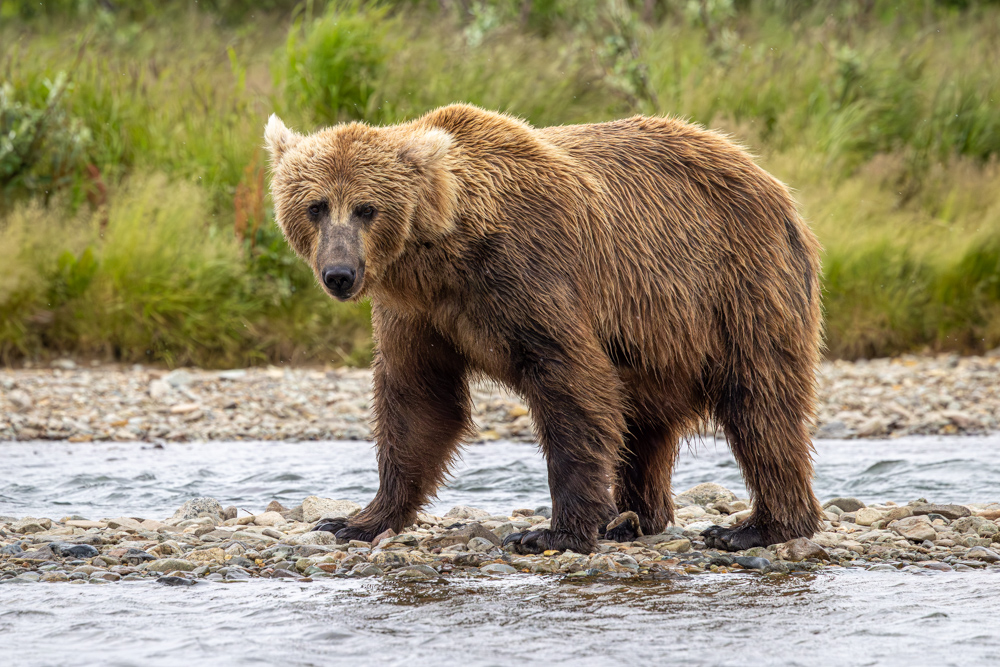 alaska2025