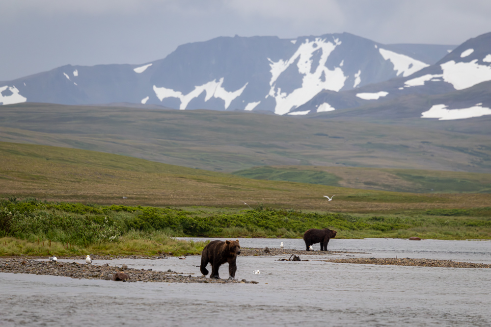 alaska2025