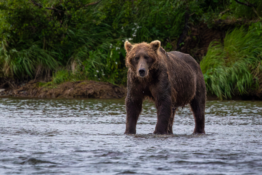 alaska2025