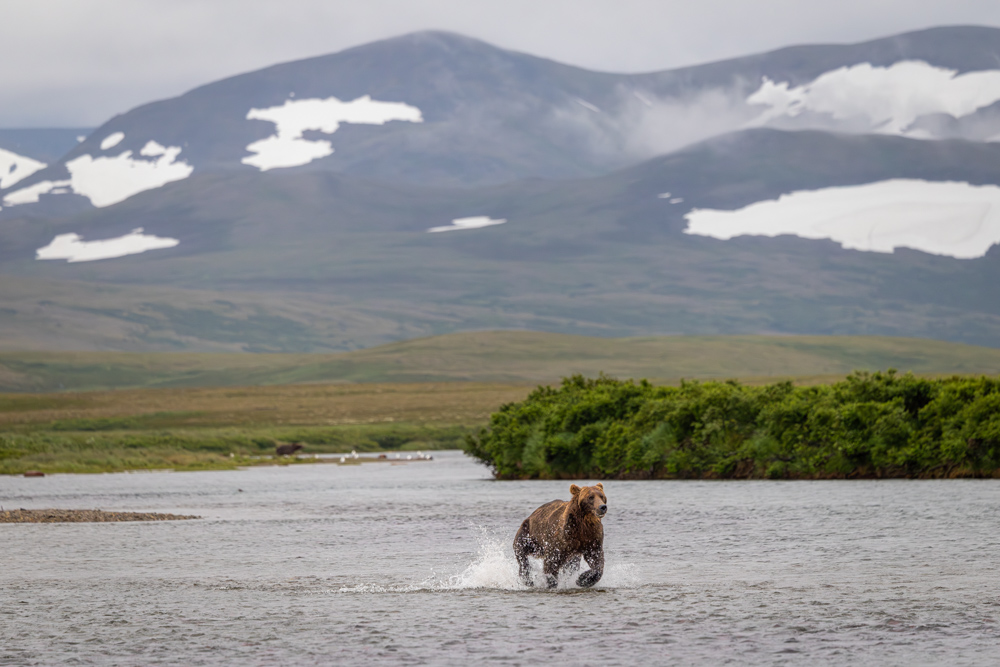 alaska2025