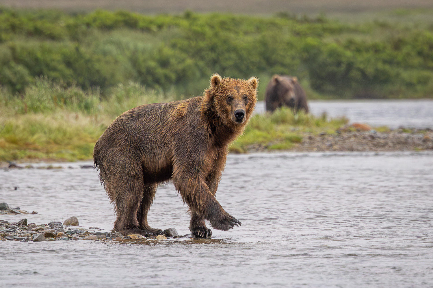 alaska2025