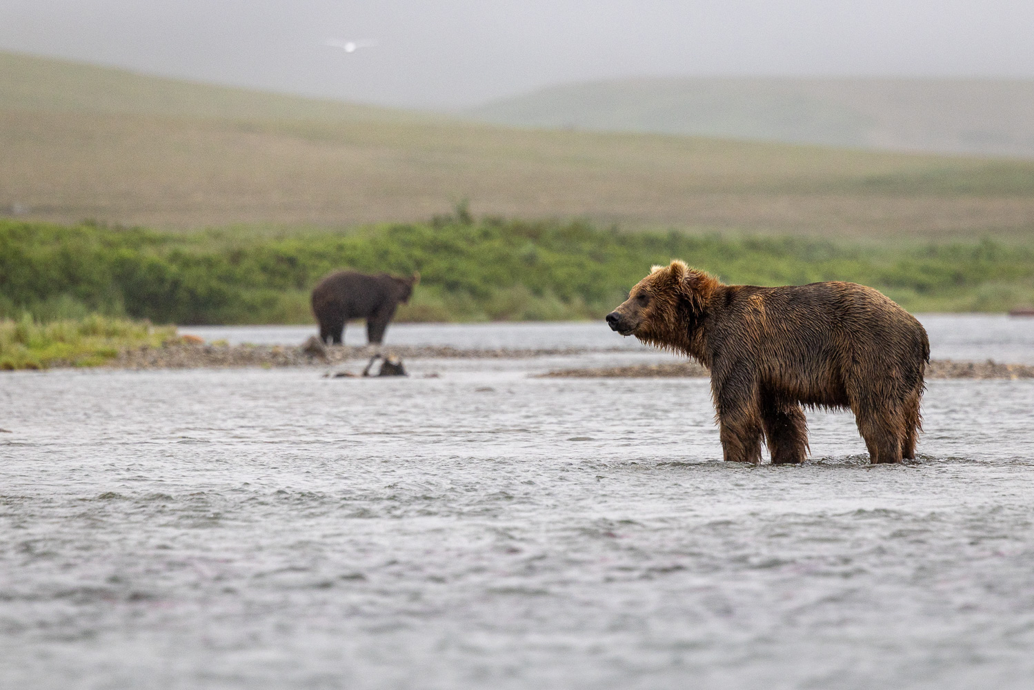 alaska2025