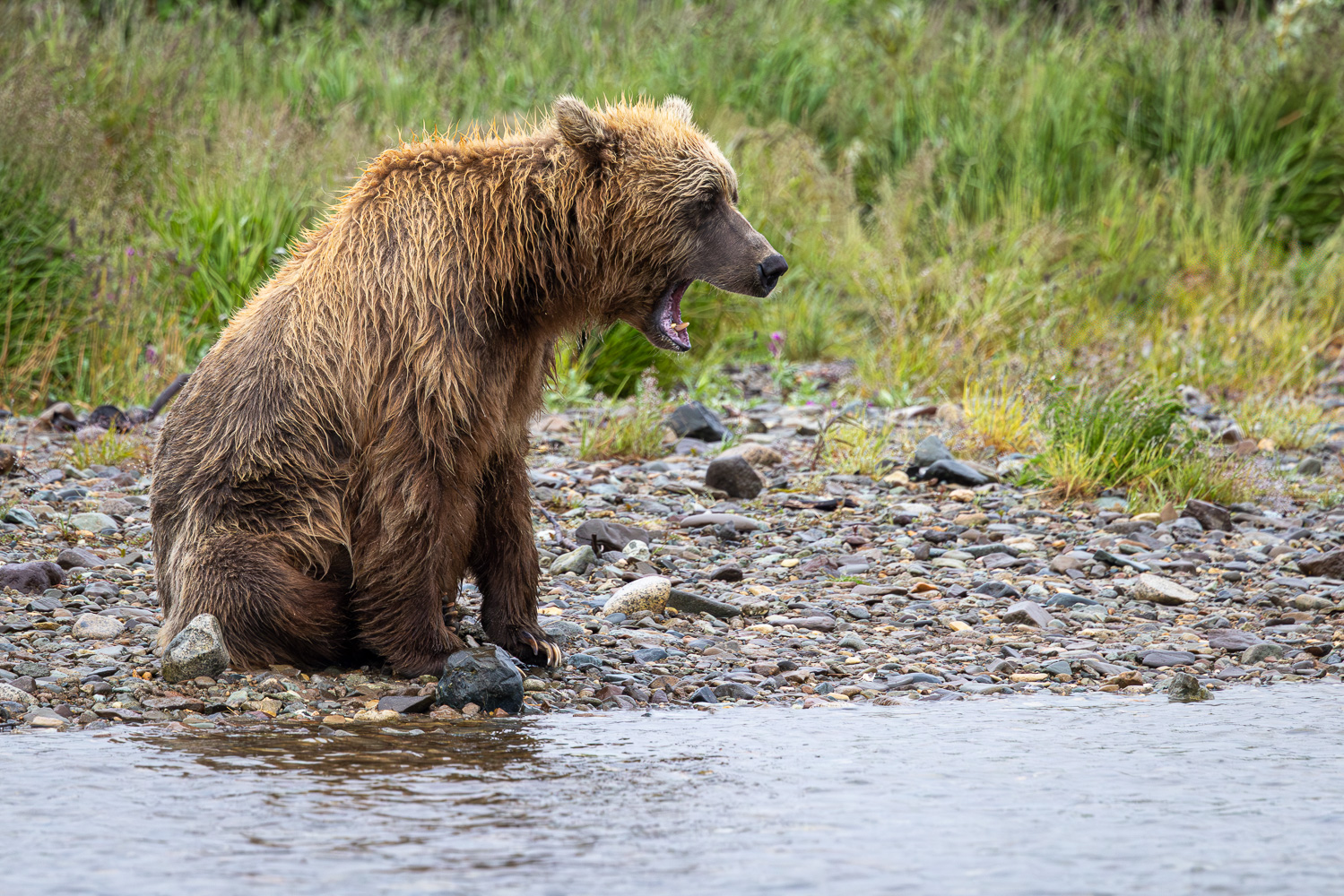 alaska2025