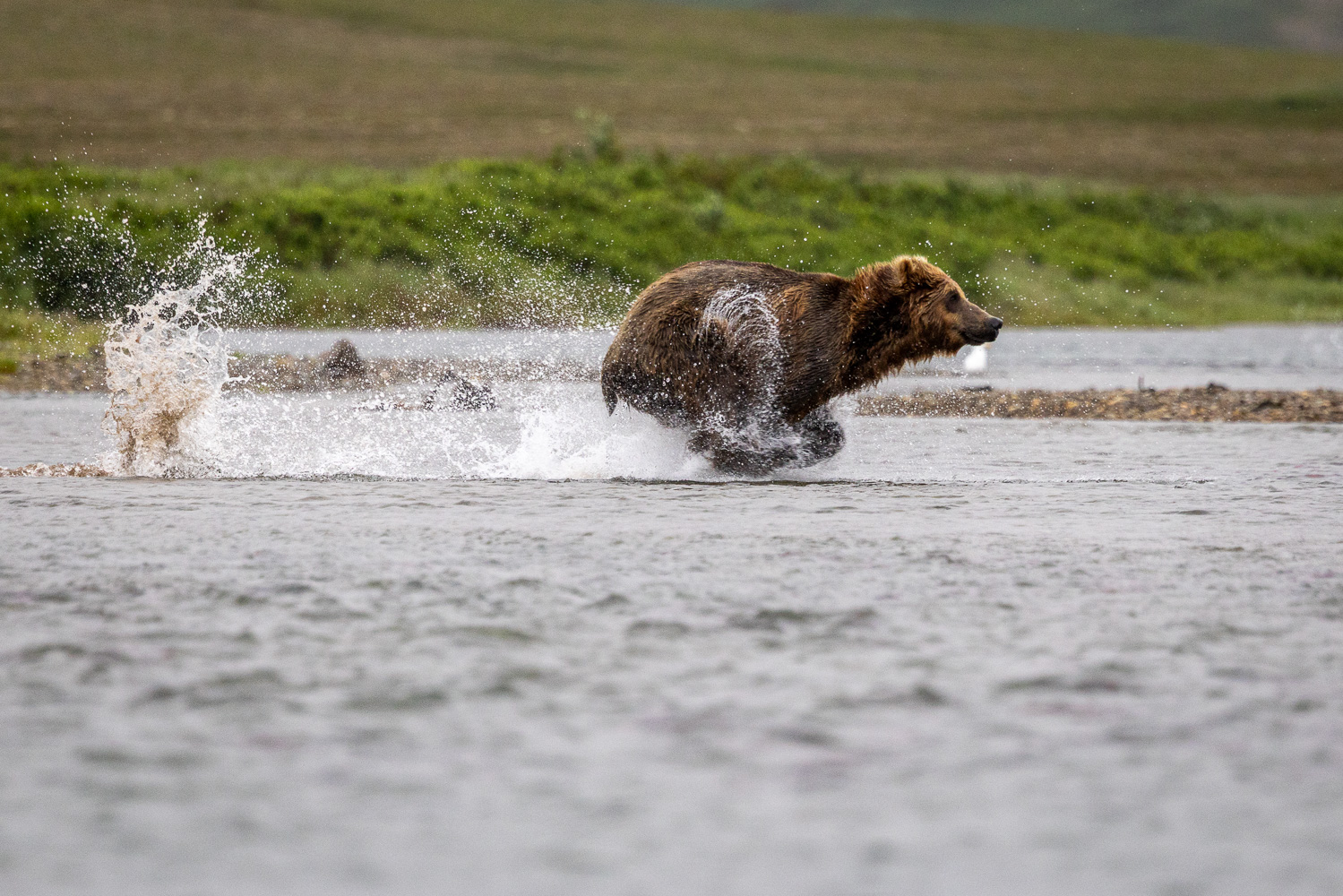 alaska2025