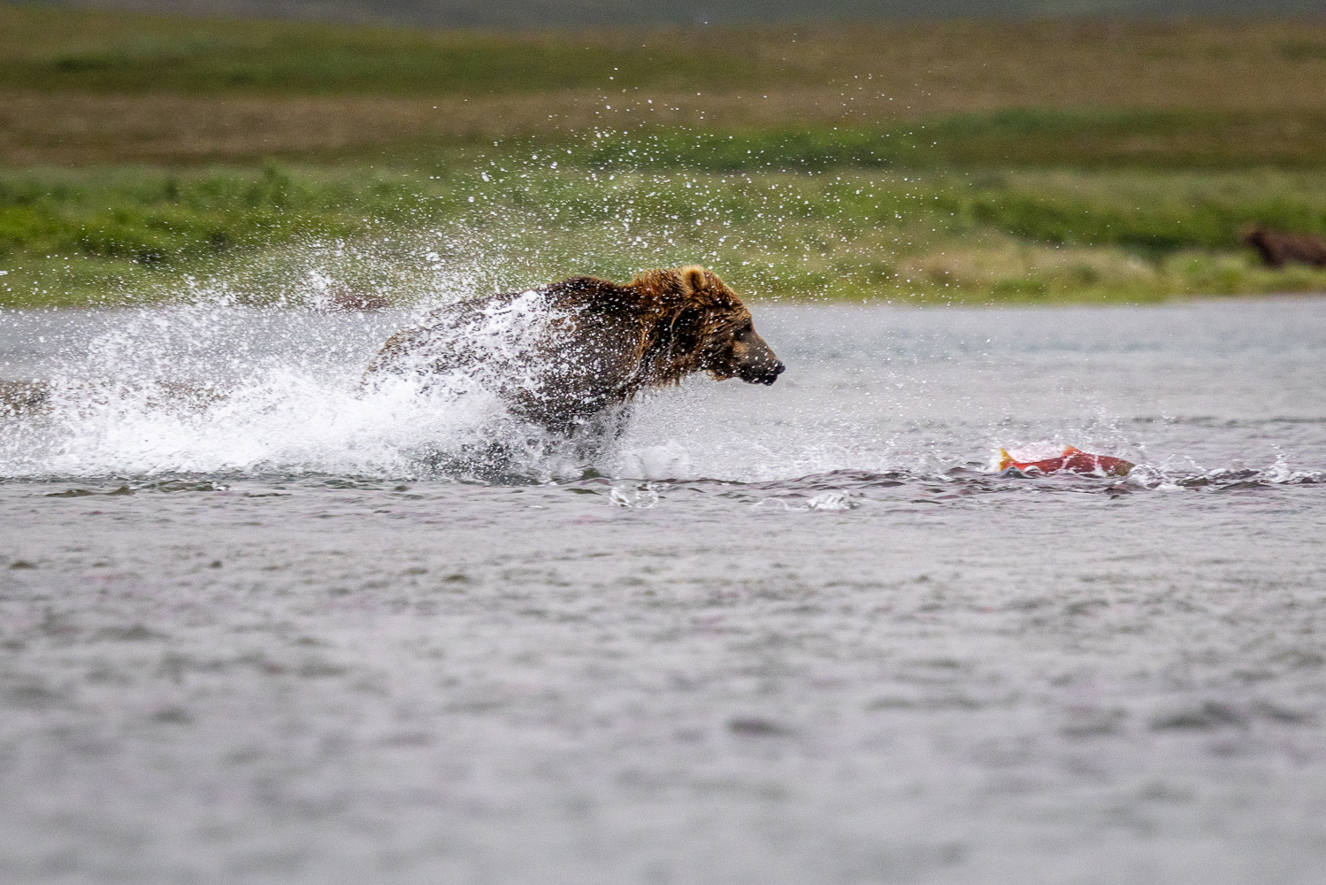 alaska2025