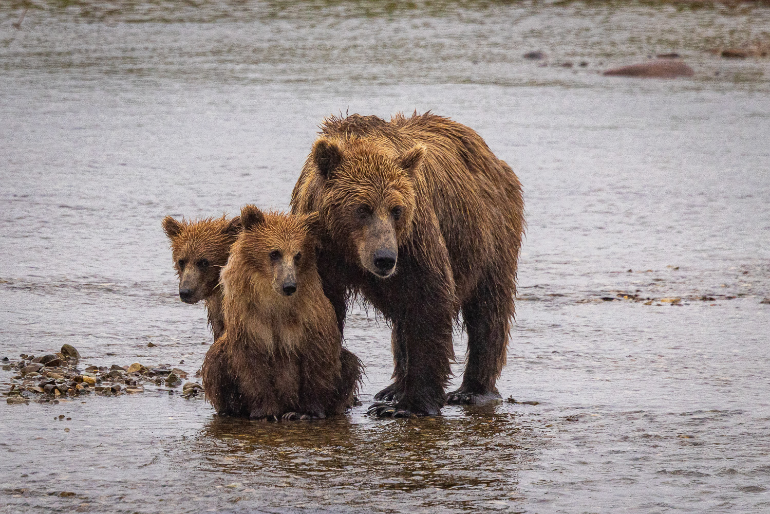 alaska2025