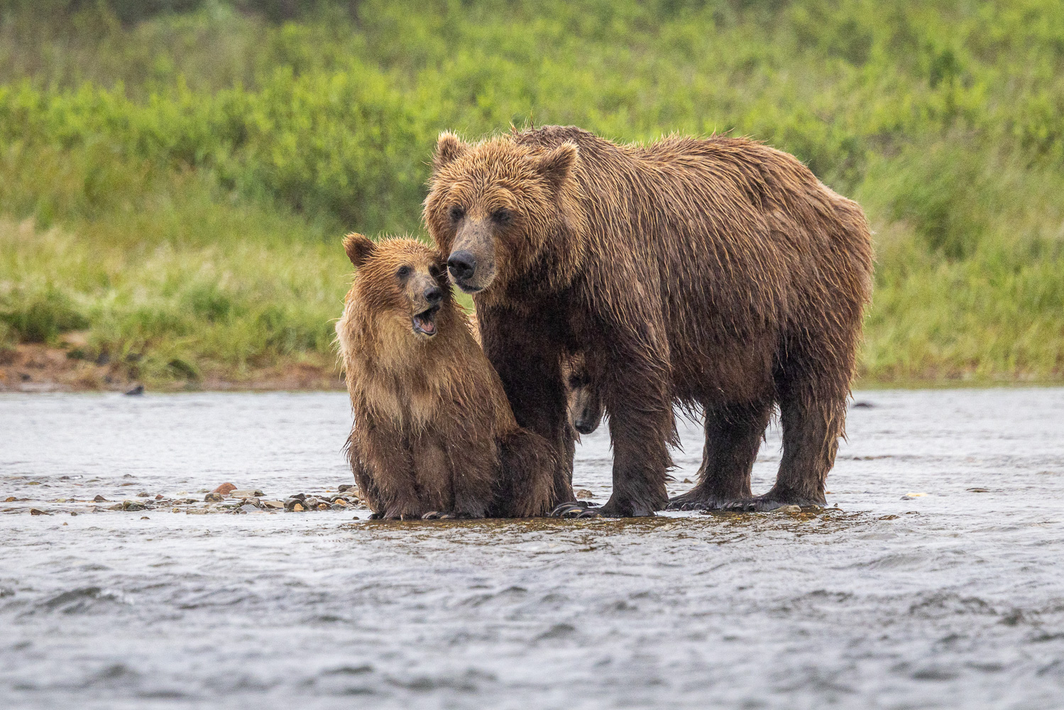 alaska2025
