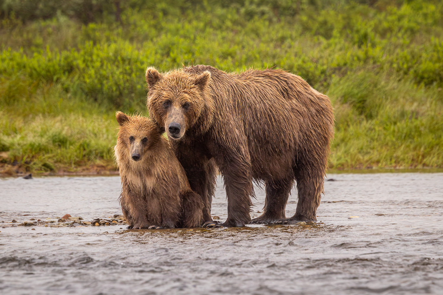 alaska2025