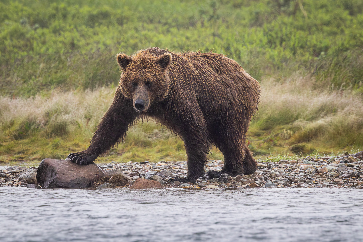 alaska2025