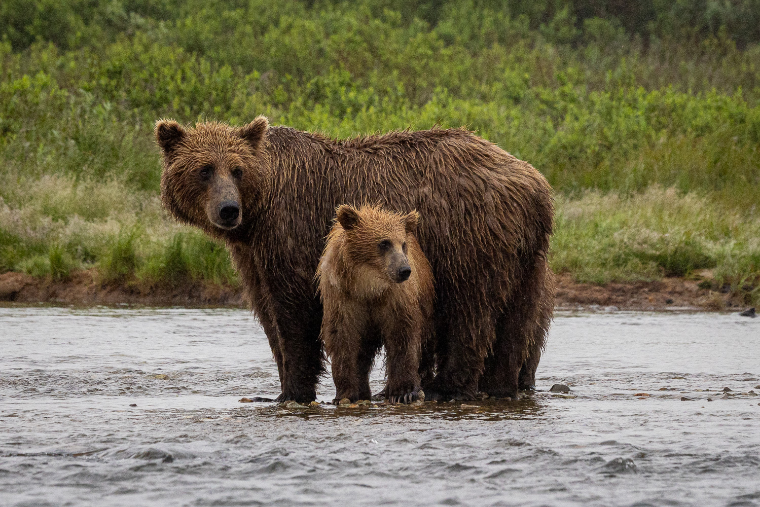 alaska2025