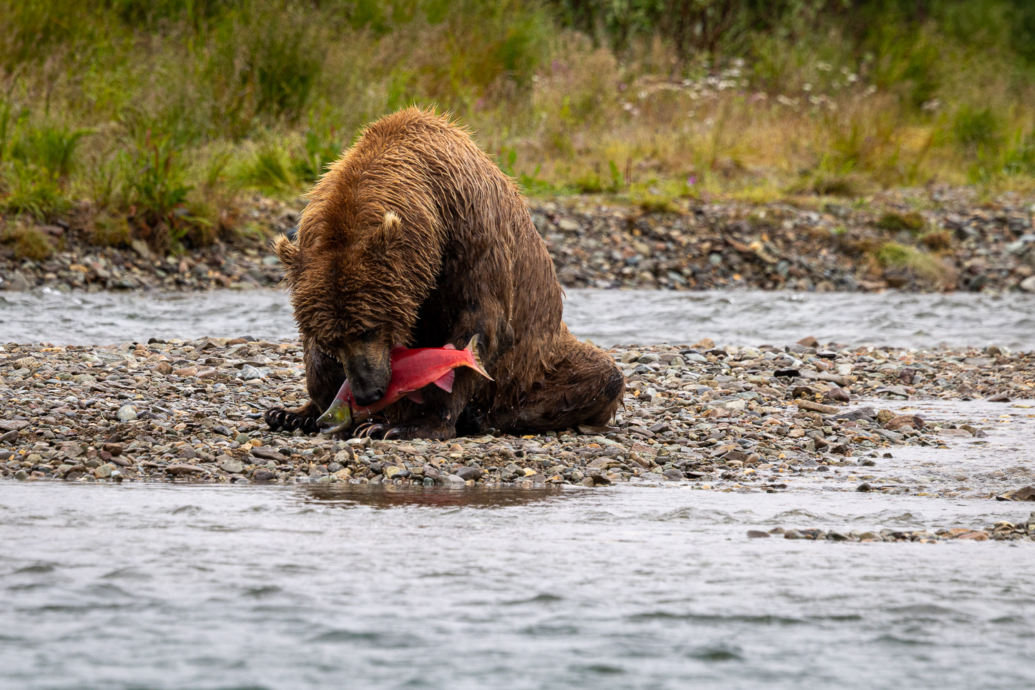 alaska2025