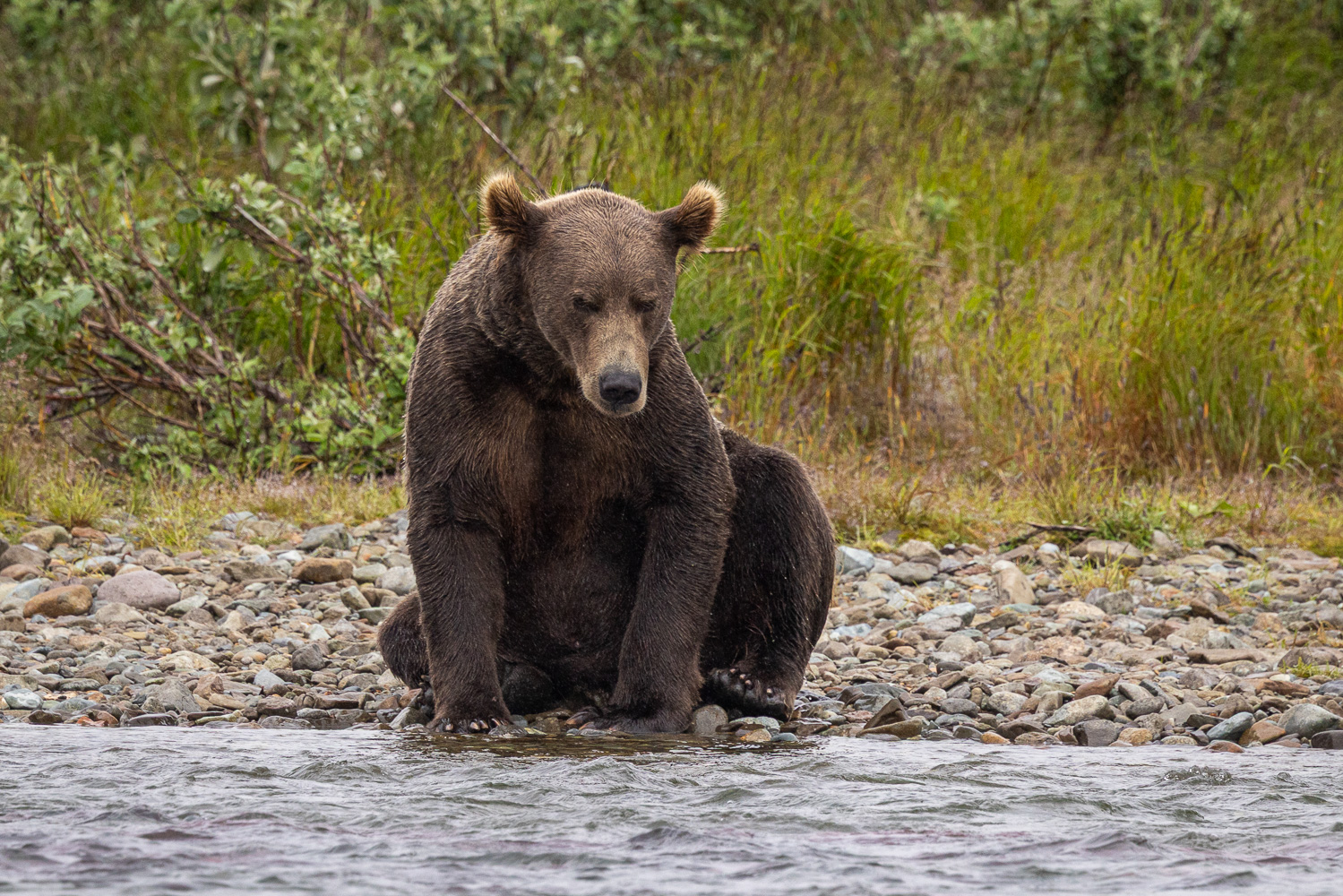 alaska2025
