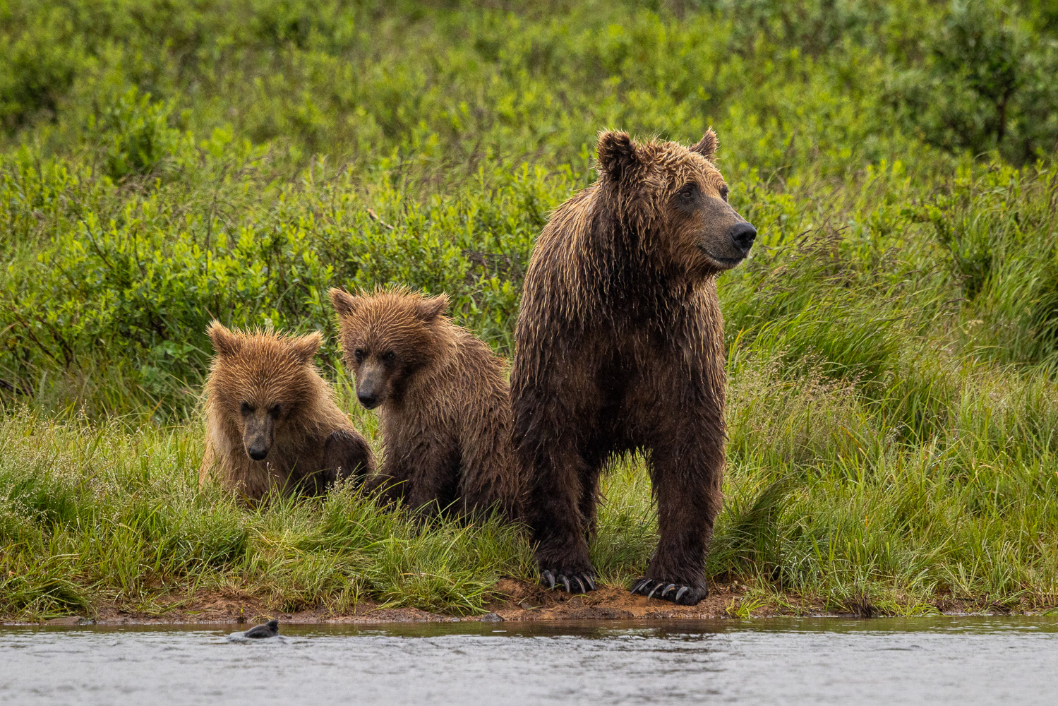 alaska2025