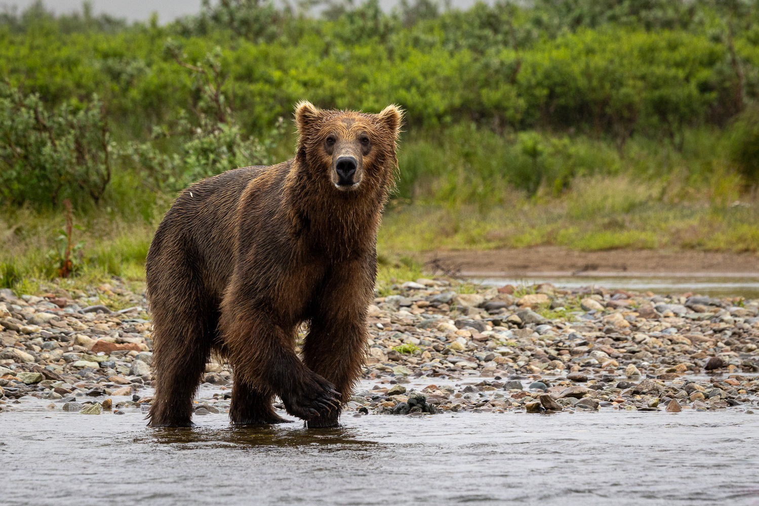 alaska2025