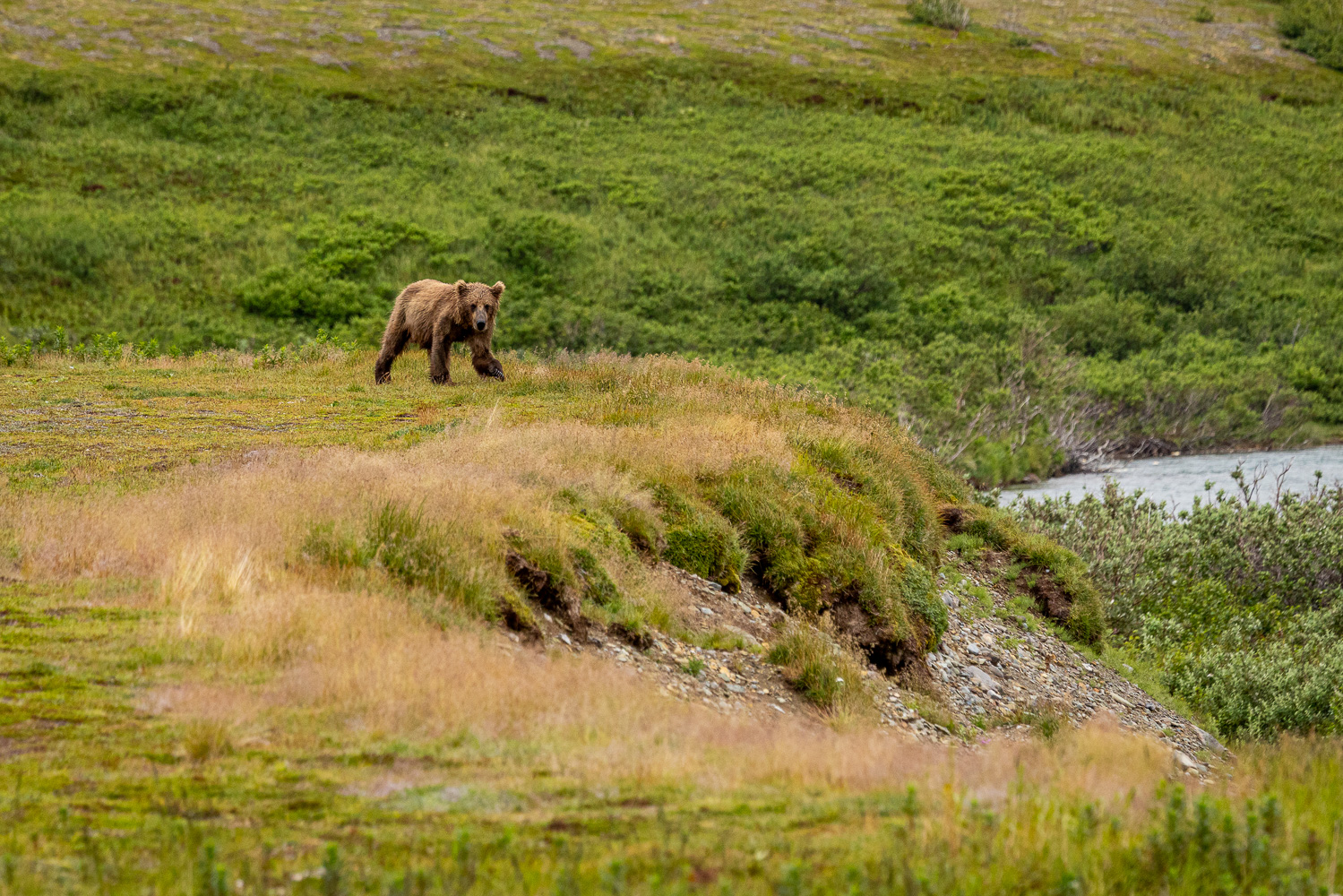 alaska2025