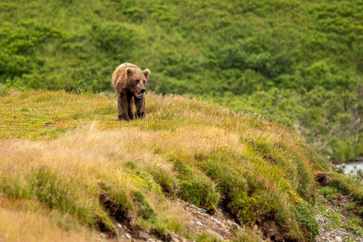 alaska2025