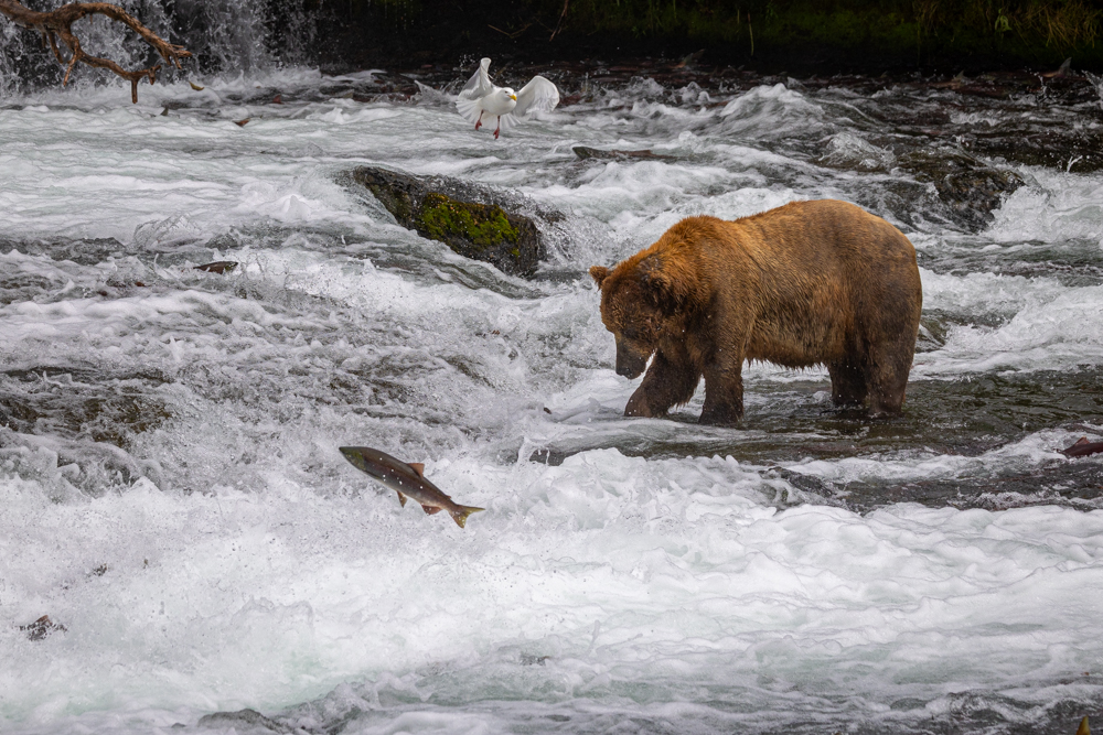 alaska2025