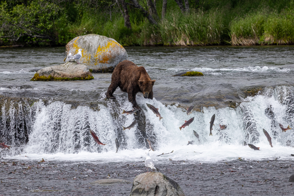 alaska2025