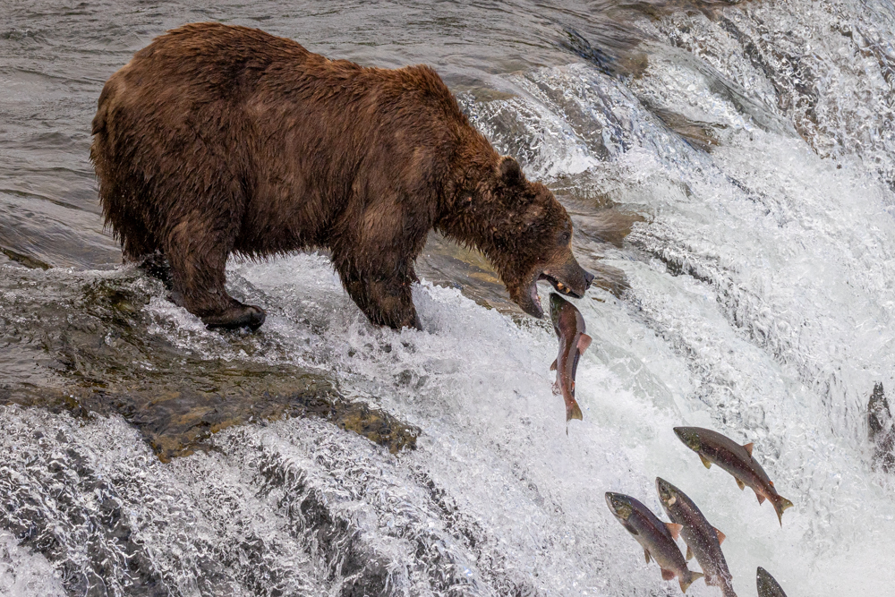 alaska2025
