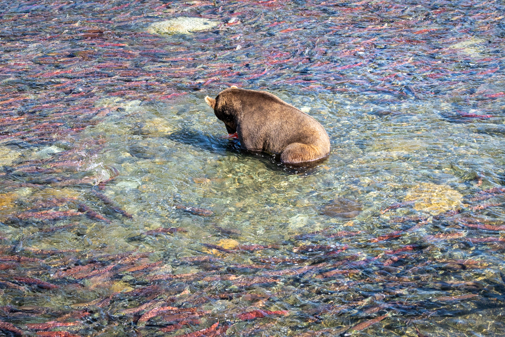 alaska2025