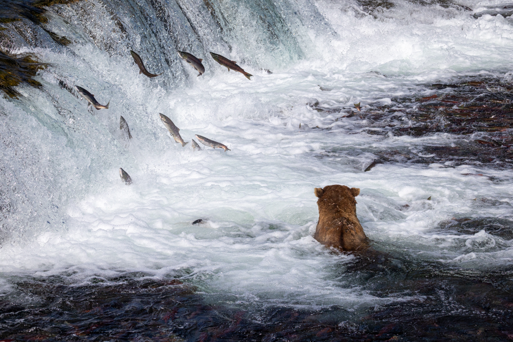 alaska2025