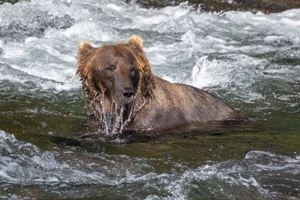 alaska2025