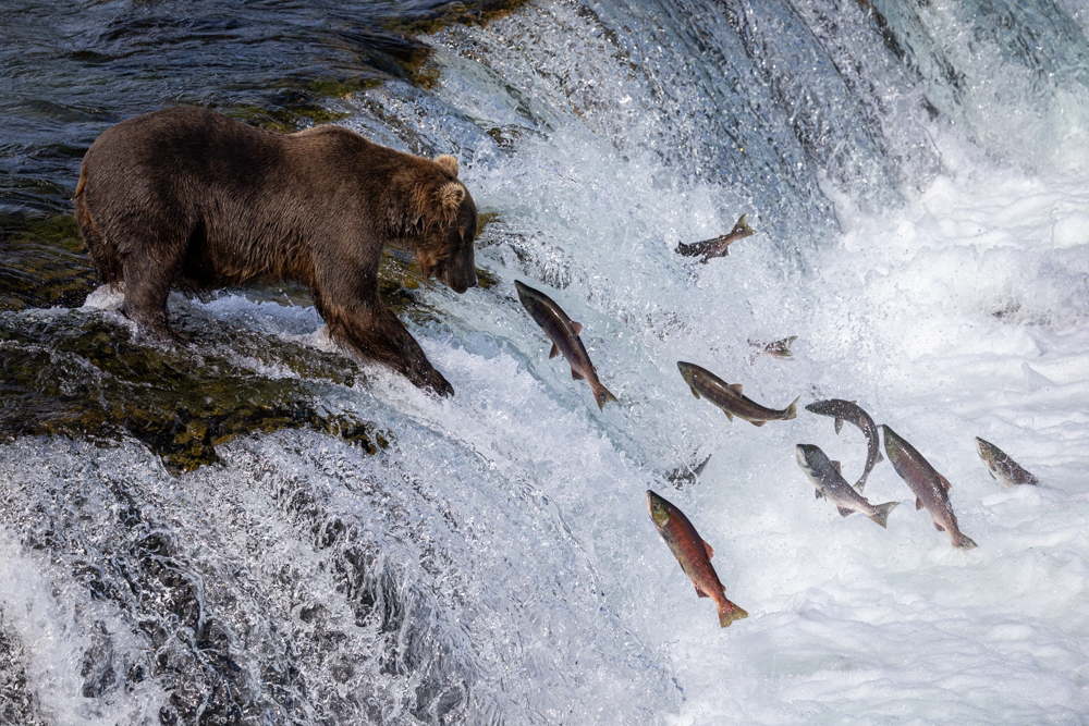 alaska2025