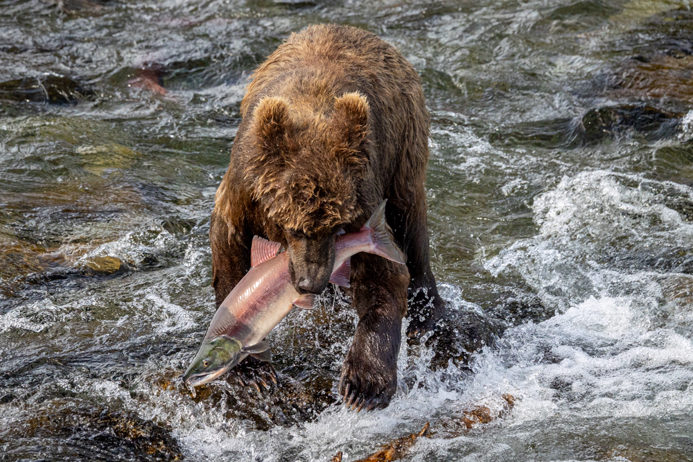 alaska2025