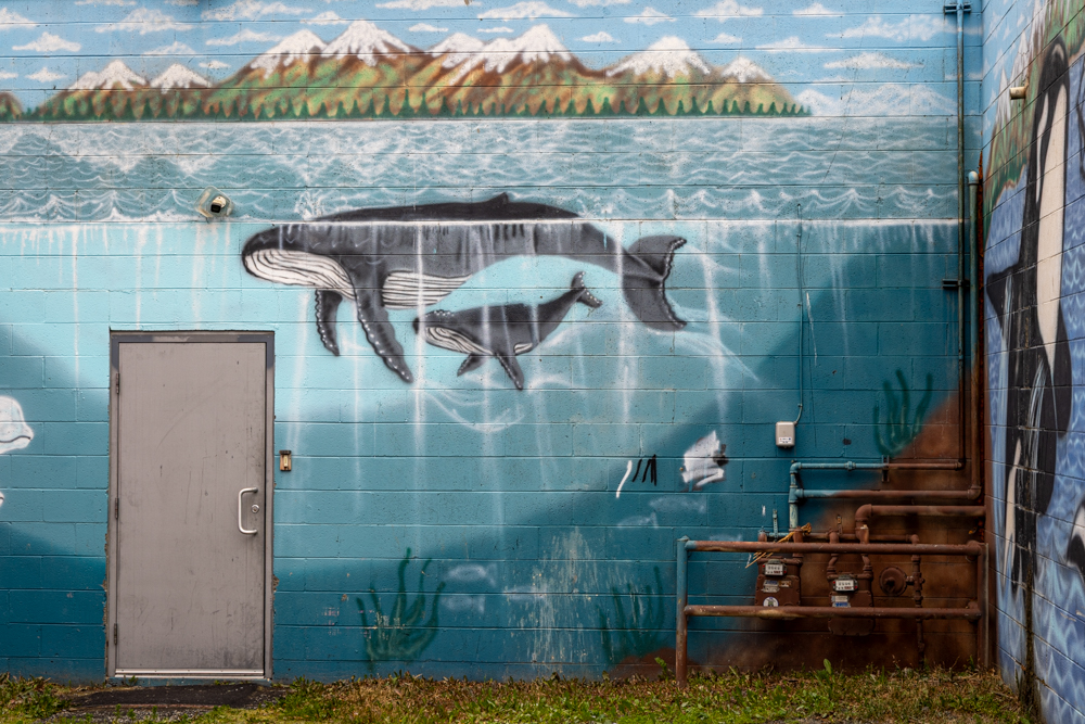 alaska2025