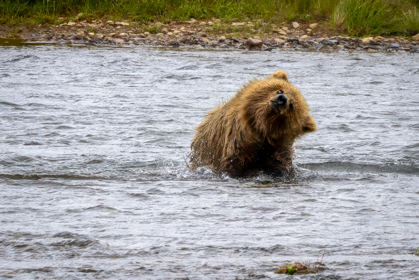 alaska2025