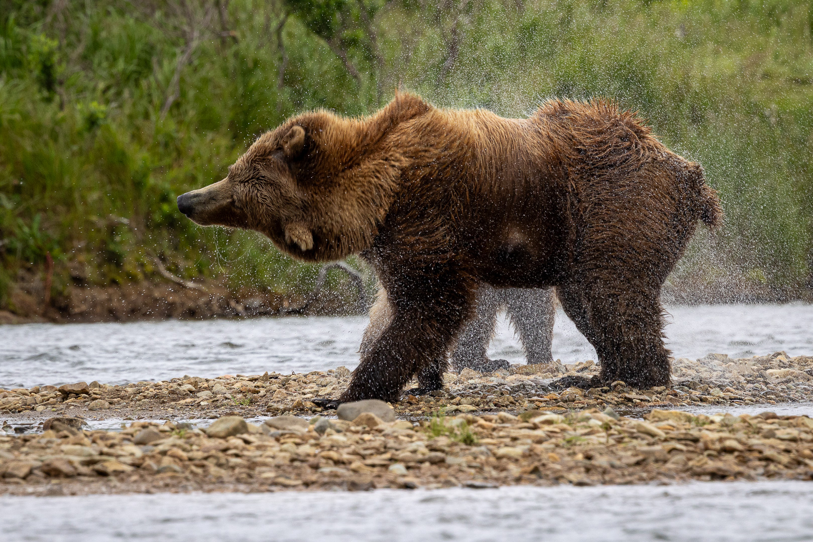 alaska2025